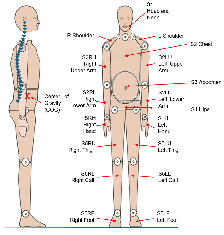 Center of Support Diagram